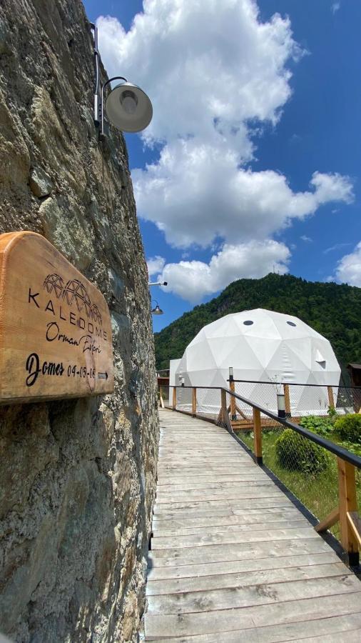 Hotel Kaledome Orman Evleri Çamlıhemşin Exteriér fotografie